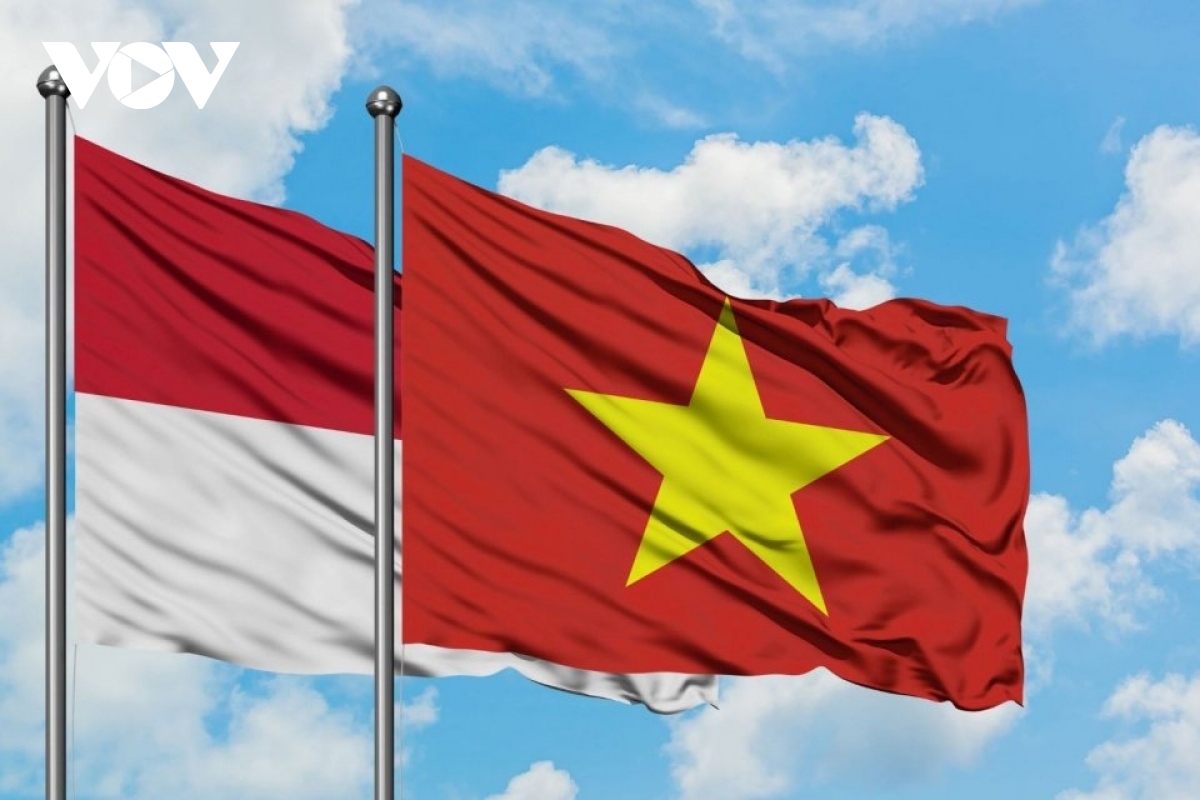 Vietnam, Indonesia seek to boost healthcare, economic, and tourism co-operation
